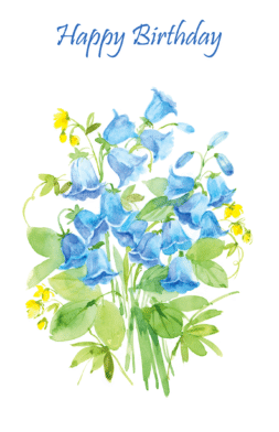 BD121   Pack of 12   2 designs