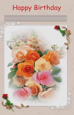 BD48   Pack of 12   3 designs