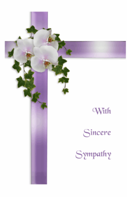 MC116   Pack of 12   3 designs