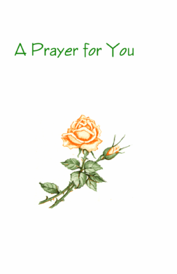 AO28   Pack of 25   4 designs