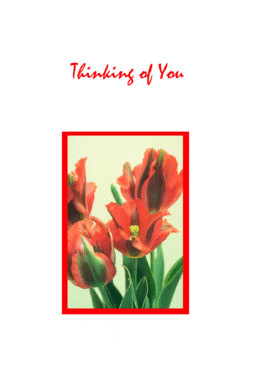 AO45   Pack of 25   4 designs