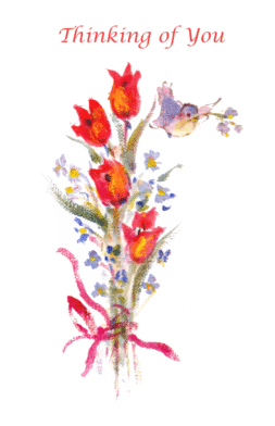 AO50   Pack of 12   4 designs