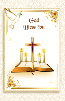 AO69   Pack of 12   2 designs