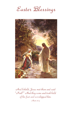 EA100   Pack of 12   2 designs