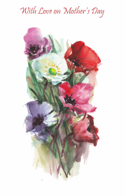 MD10   Pack of 12   2 designs