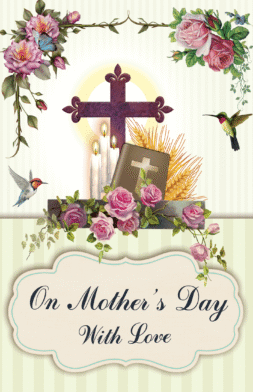 MD16   Pack of 12   2 designs