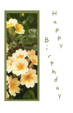 BD77   Pack of 25   4 designs