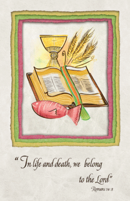 MC166   Pack of 12   2 designs