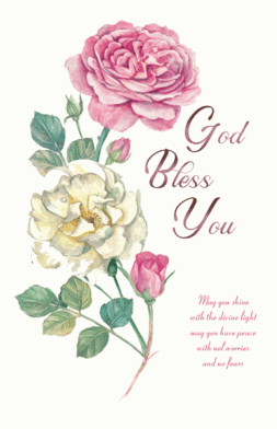 AO87   Pack of 12   2 designs