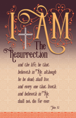 MC172   Pack of 12   2 designs