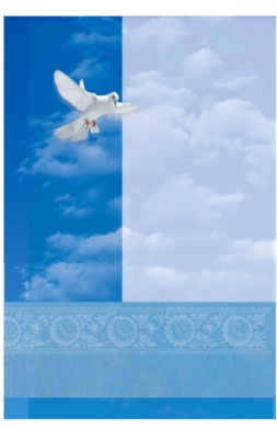 NT25  Pack of 25   4 designs