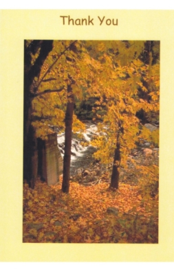 TU475   Pack of 25   4 designs